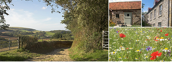 Little Edstone