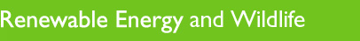 Renewable Energy